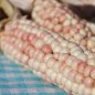 Preview: Röstmais Hopi Pink (Samen)
