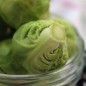 Preview: Rosenkohl Groninger (Samen)