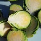 Preview: Rosenkohl Long Island (Samen)