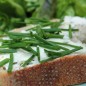 Preview: Schnittlauch Grasgrün (Pflanze)