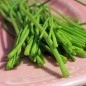 Preview: Schnittlauch Grasgrün (Pflanze)