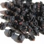 Preview: Johannisbeere Byelorussian Sweet (Pflanze)