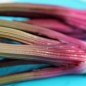 Preview: Stangensellerie Giant Red (Samen)