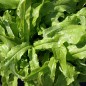Preview: Spargelsalat Yu Mai Tsai (Samen)