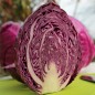 Preview: Spitzkohl Kalibos (Samen)