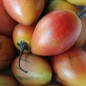 Preview: Tamarillo - Baumtomate orange (Samen)