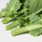 Preview: Blattkohl Tausendköpfiger Kohl (Samen)