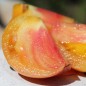Preview: - Kopie - Kopie - Kopie