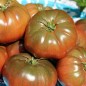 Preview: Tomate Black Krim (Samen)
