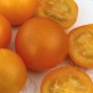 Preview: Tomate Blondköpfchen (Samen)