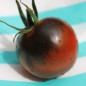 Preview: Tomate Blue Chocolate (Samen)