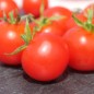 Preview: Tomate Ernteglück (Samen)
