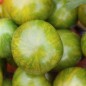 Preview: Tomate Green Zebra (Samen)