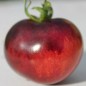 Preview: Tomate Indigo Rose (Samen)
