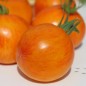 Preview: - Kopie - Kopie - Kopie - Kopie - Kopie - Kopie - Kopie