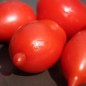 Preview: Tomate Legenda Tarasenko (Multiflora)  (Samen)