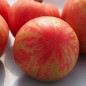 Tomate Pink Furry Boar (Samen)