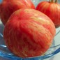 Tomate Pink Furry Boar (Samen)