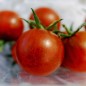 Preview: Tomate Schokoladenperle (Samen)