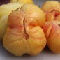 Preview: Tomate Shah (Samen)