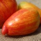 Preview: Tomate Yellow Fire (Samen)