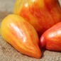 Preview: Tomate Yellow Fire (Samen)