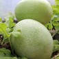 Preview: Wassermelone Ali Baba (Samen)