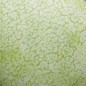 Preview: Wassermelone Ali Baba (Samen)