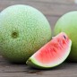 Preview: Wassermelone Ali Baba (Samen)