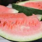 Preview: Wassermelone Art Combe's Ancient (Samen)