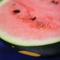 Preview: Wassermelone Moon and Stars (Samen)