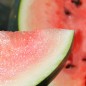 Preview: Wassermelone Moon and Stars (Samen)