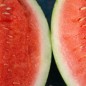 Preview: Wassermelone Strawberry (Samen)