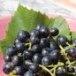 Preview: - Kopie - Kopie - Kopie