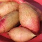 Preview: - Kopie - Kopie - Kopie - Kopie - Kopie
