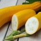 Preview: Zucchini Golden (Samen)