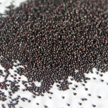Amaranth Red Aztec (Samen)