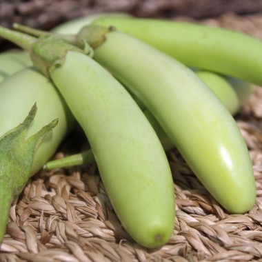 Aubergine Green Finger (Samen)