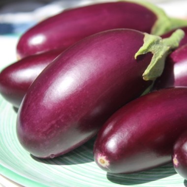 Aubergine Jewel Jet (freilandgeeignet) (Samen)