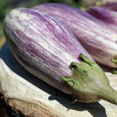 Aubergine Listada de Gandia  (Samen)