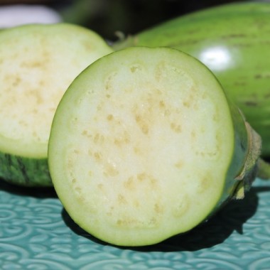 Aubergine Manresa Verde (Samen)