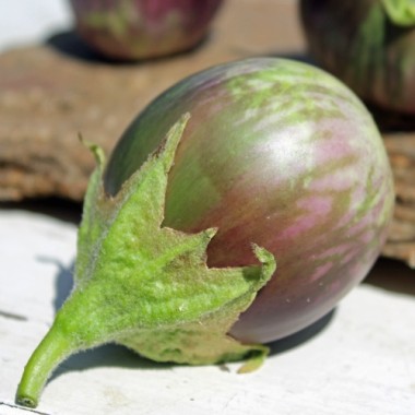 Aubergine Redonda (Samen)