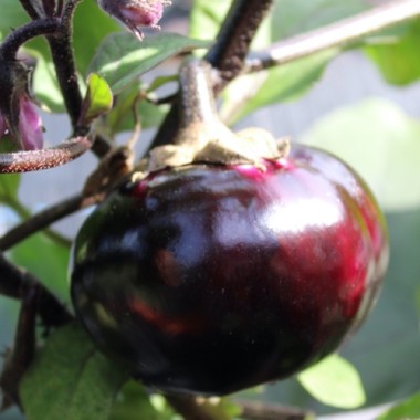 - Kopie - Kopie - Kopie - Kopie