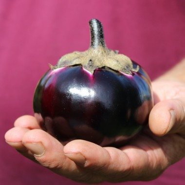 - Kopie - Kopie - Kopie - Kopie