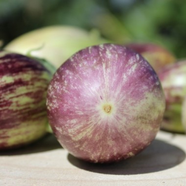 Aubergine Udmalbet (freilandgeeignet) (Samen)