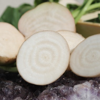 Beete Albino Verecunda (Samen)