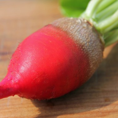 Beete Red Mammoth (Samen)