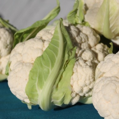 Blumenkohl Herbstriesen (Samen)