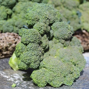 Broccoli Waltham (Samen)
