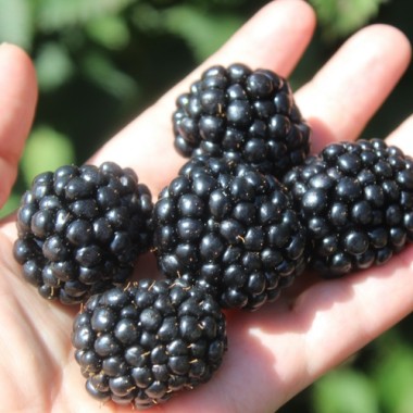 - Kopie - Kopie - Kopie